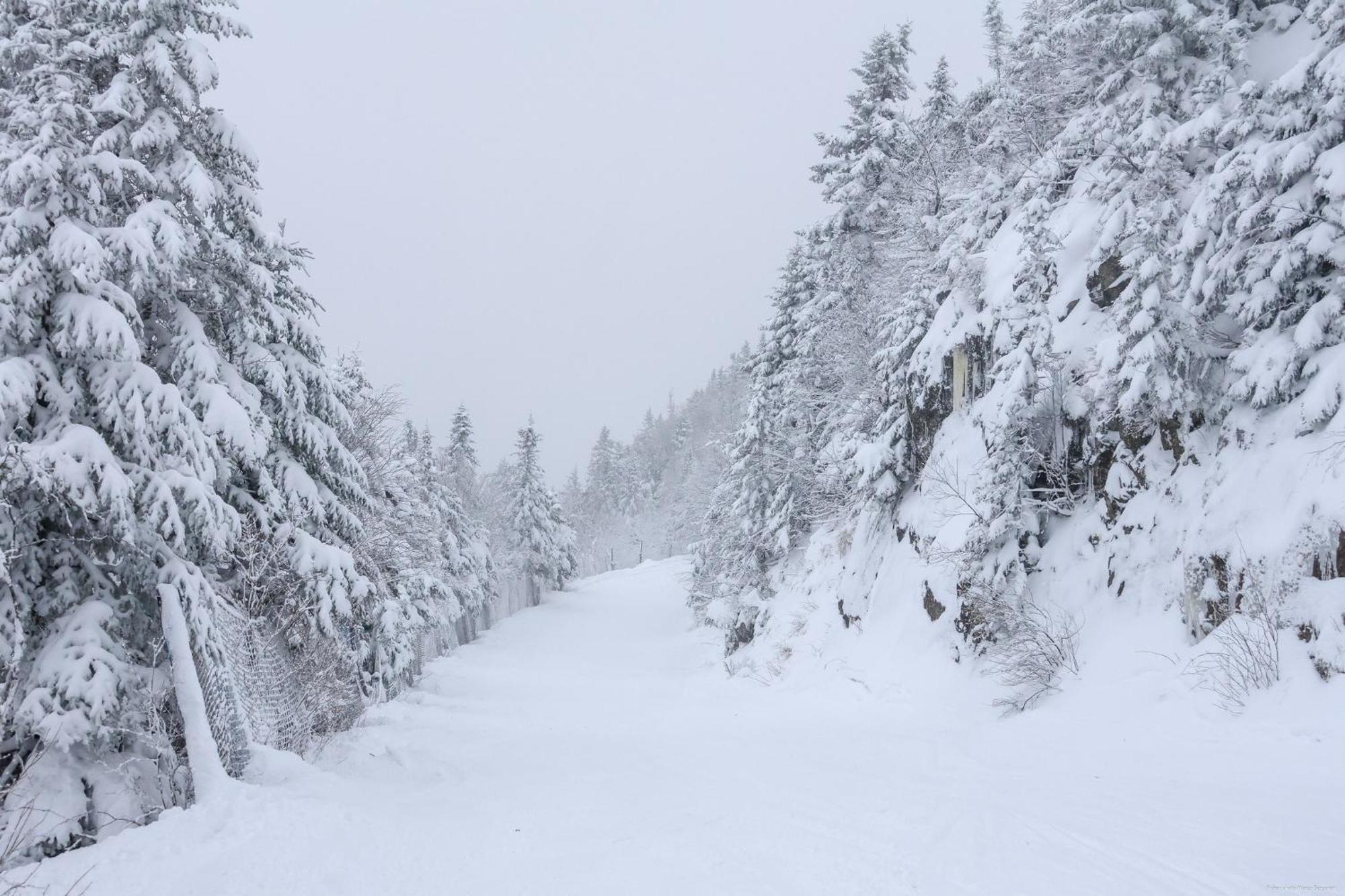 O'Berge Du Village C304 - Bord De L'Eau Magog Esterno foto